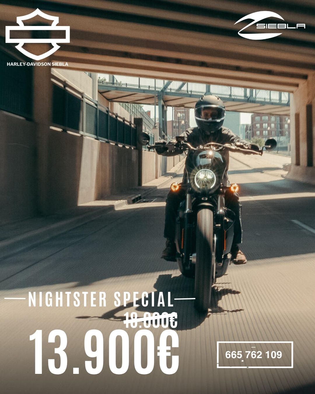 nightster special harley davidson 17.930&euro; en harley davidson siebla